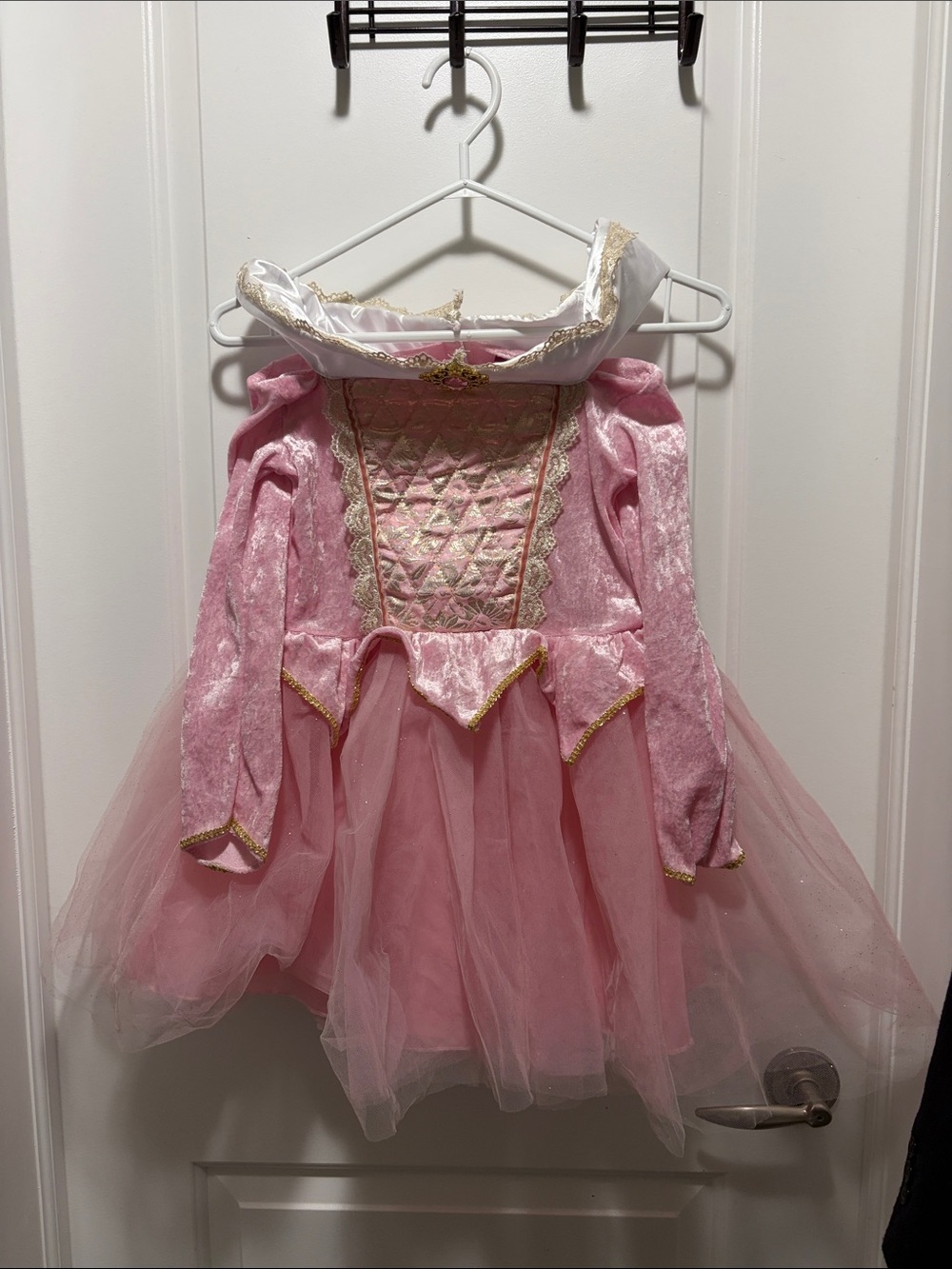 Children's Pink Princess Tulle Costume Dress with Gold Trim